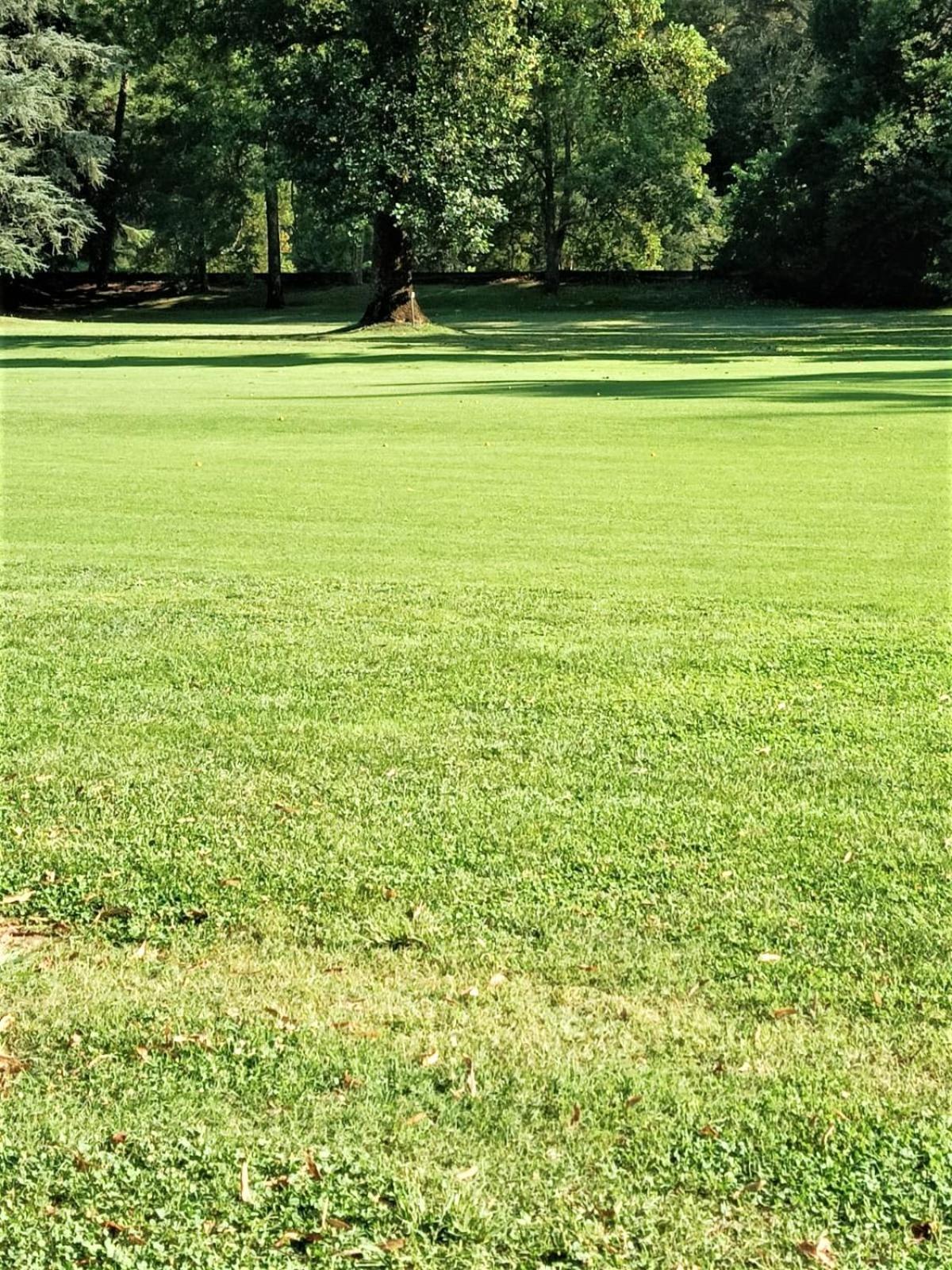 Fronte Del Golf Lägenhet Rapallo Exteriör bild