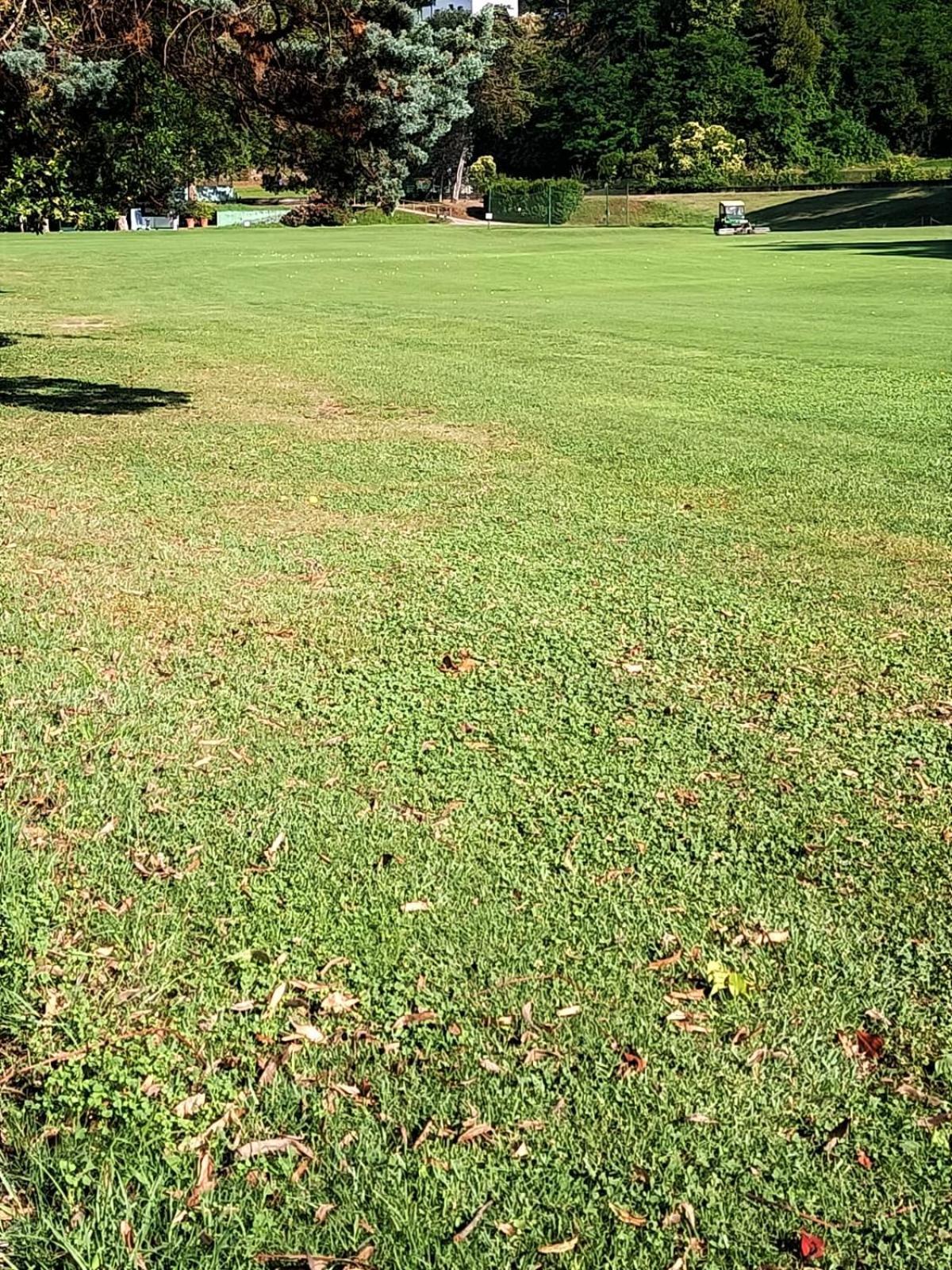 Fronte Del Golf Lägenhet Rapallo Exteriör bild